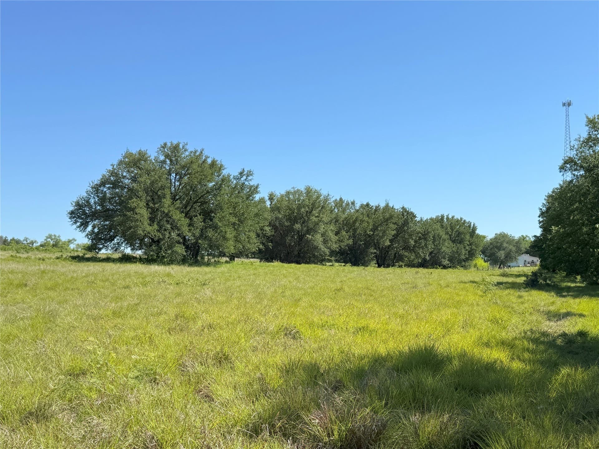 12 acres in Hamilton County - photo 14