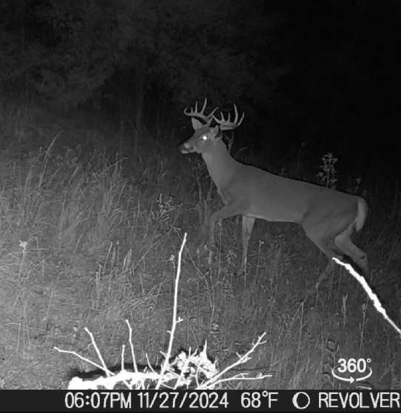 37.5 acres in Grayson County - photo 39