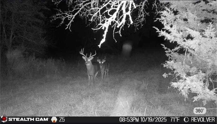 37.5 acres in Grayson County - photo 38