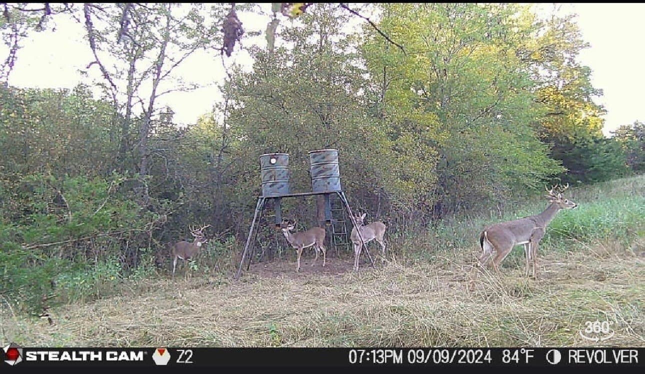 37.5 acres in Grayson County - photo 37
