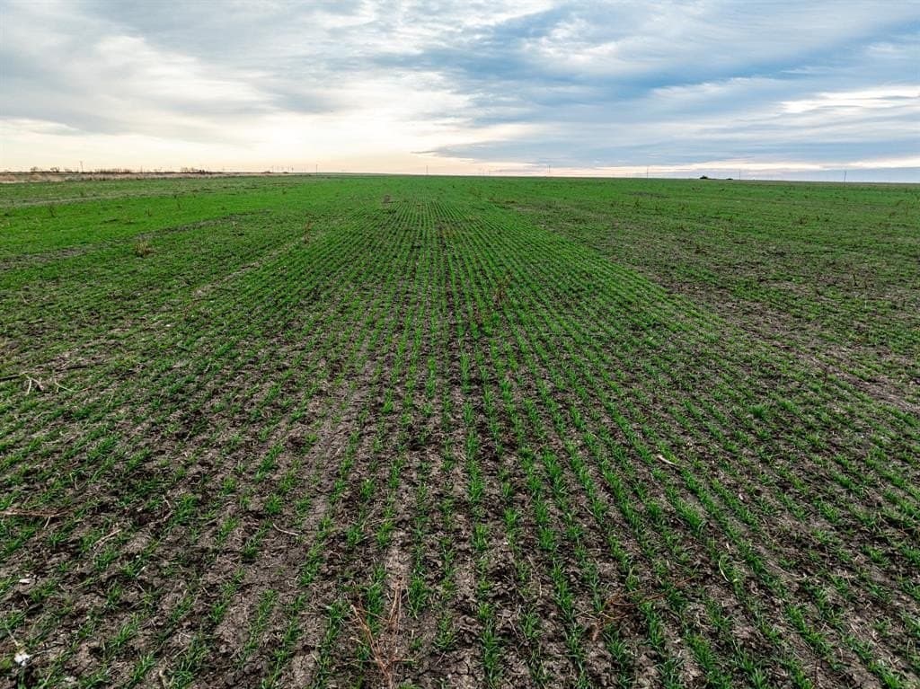 23.94 acres in Haskell County gallery image 2
