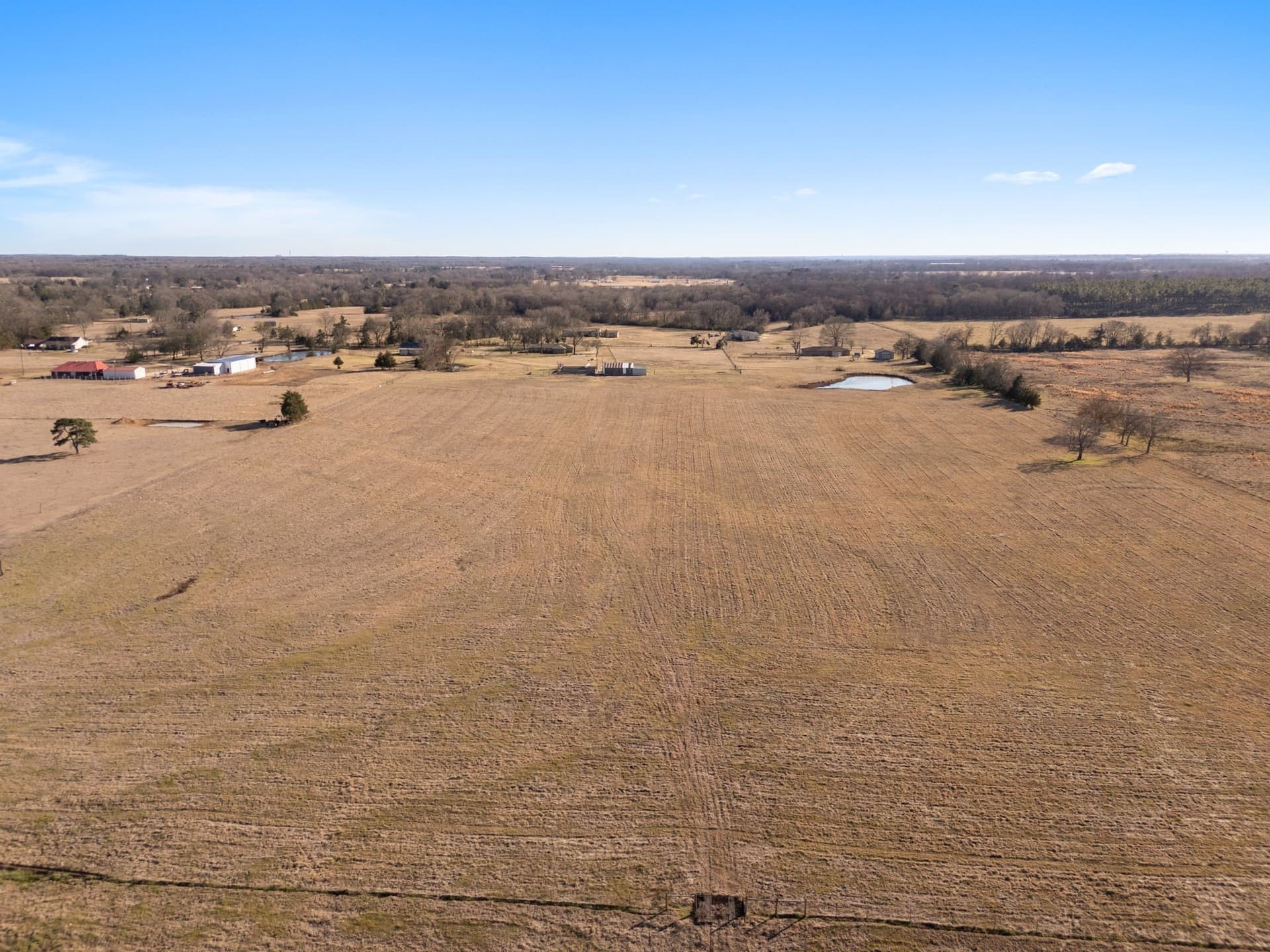 39.16 acres in Titus County gallery image 2