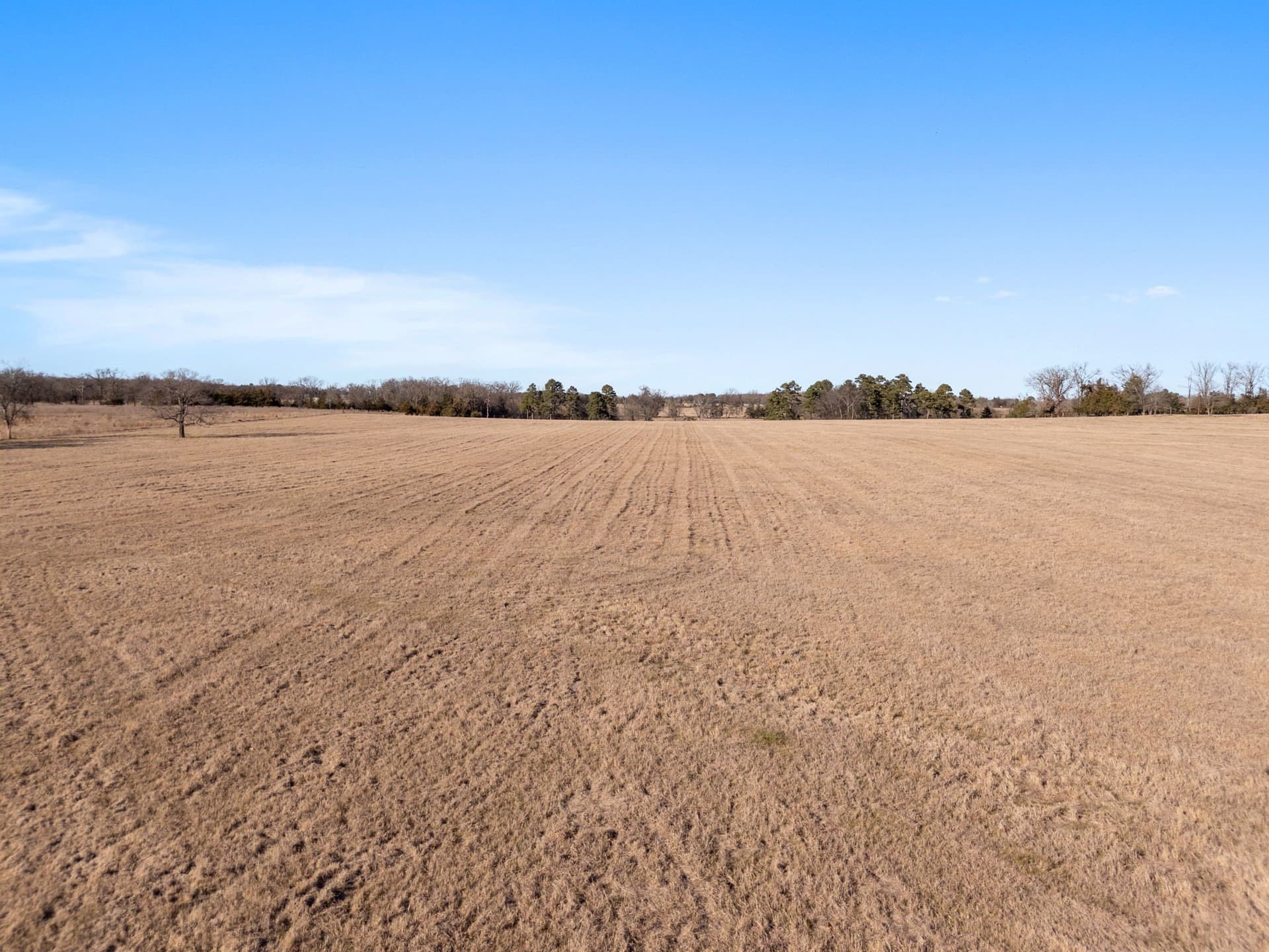 39.16 acres in Titus County gallery image 3
