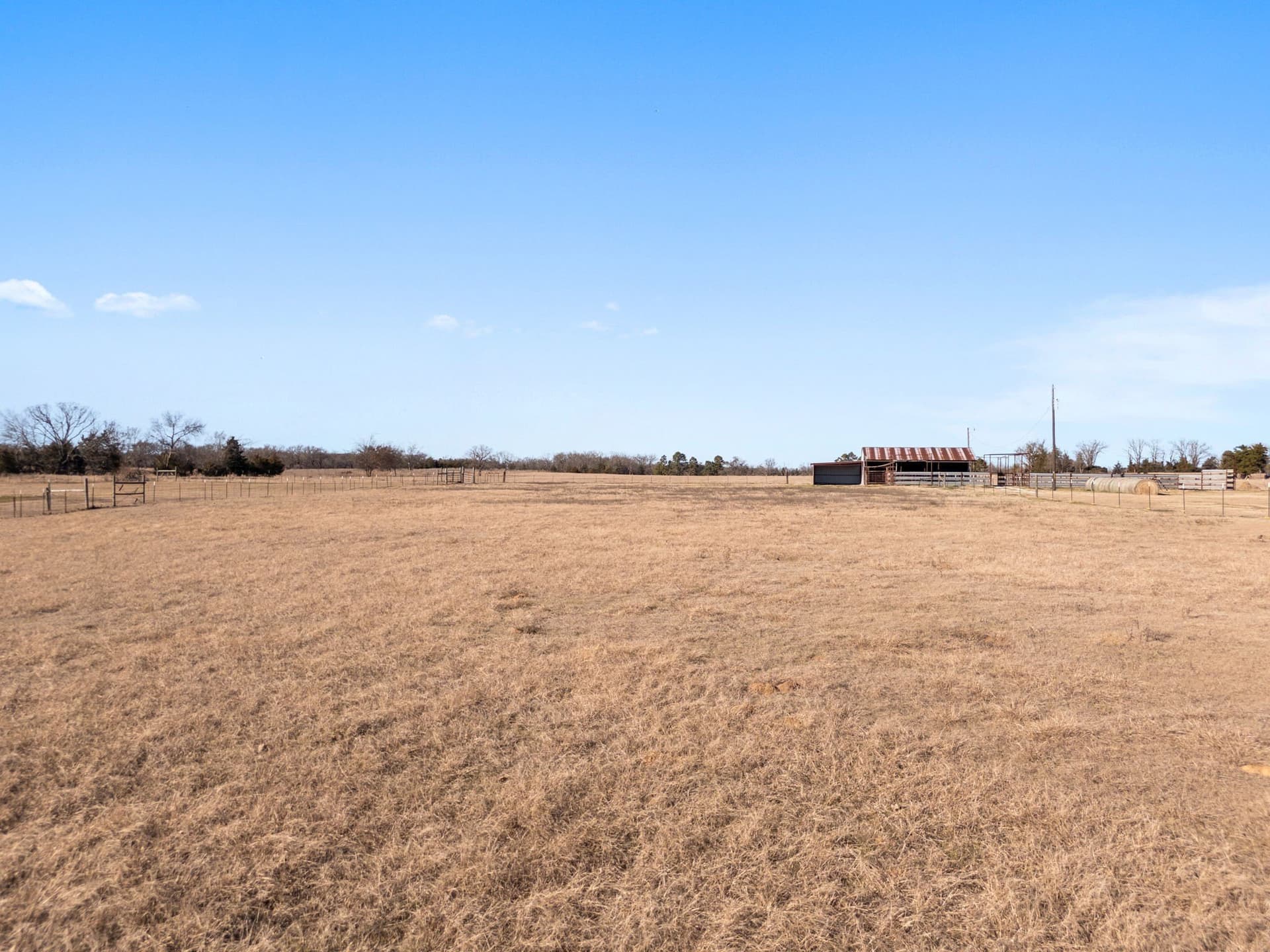 39.16 acres in Titus County gallery image 4