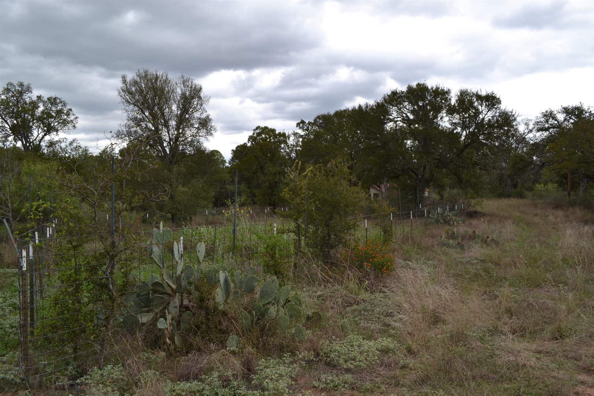 21.7 acres in Llano County - photo 14