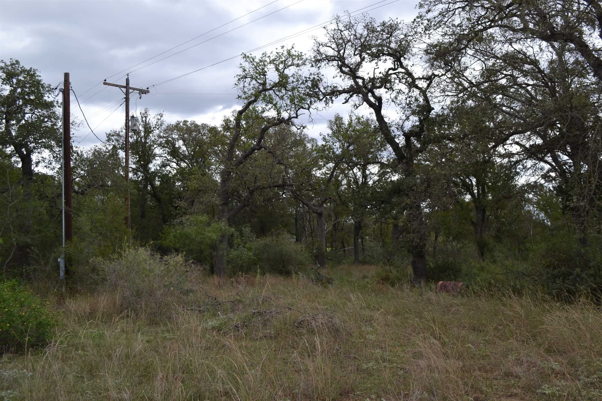 21.7 acres in Llano County - photo 11