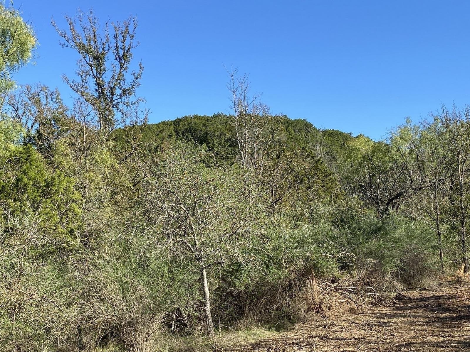 21.7 acres in Llano County gallery image 2