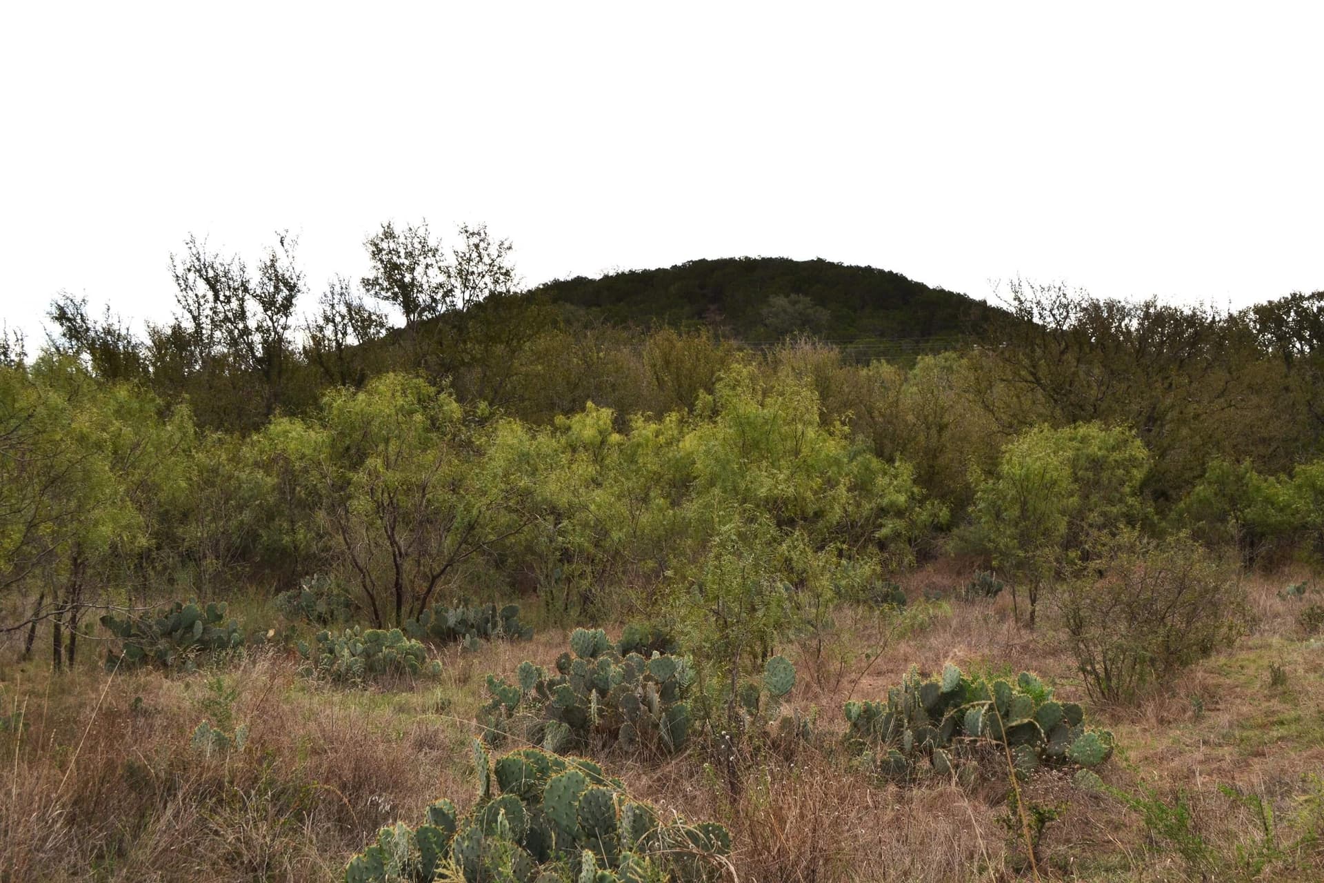 21.7 acres in Llano County - photo 29