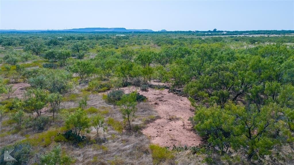 18.09 acres in Taylor County gallery image 2