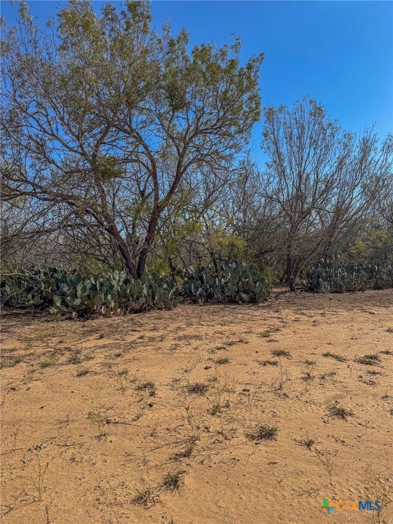 18.55 acres in Guadalupe County - photo 6