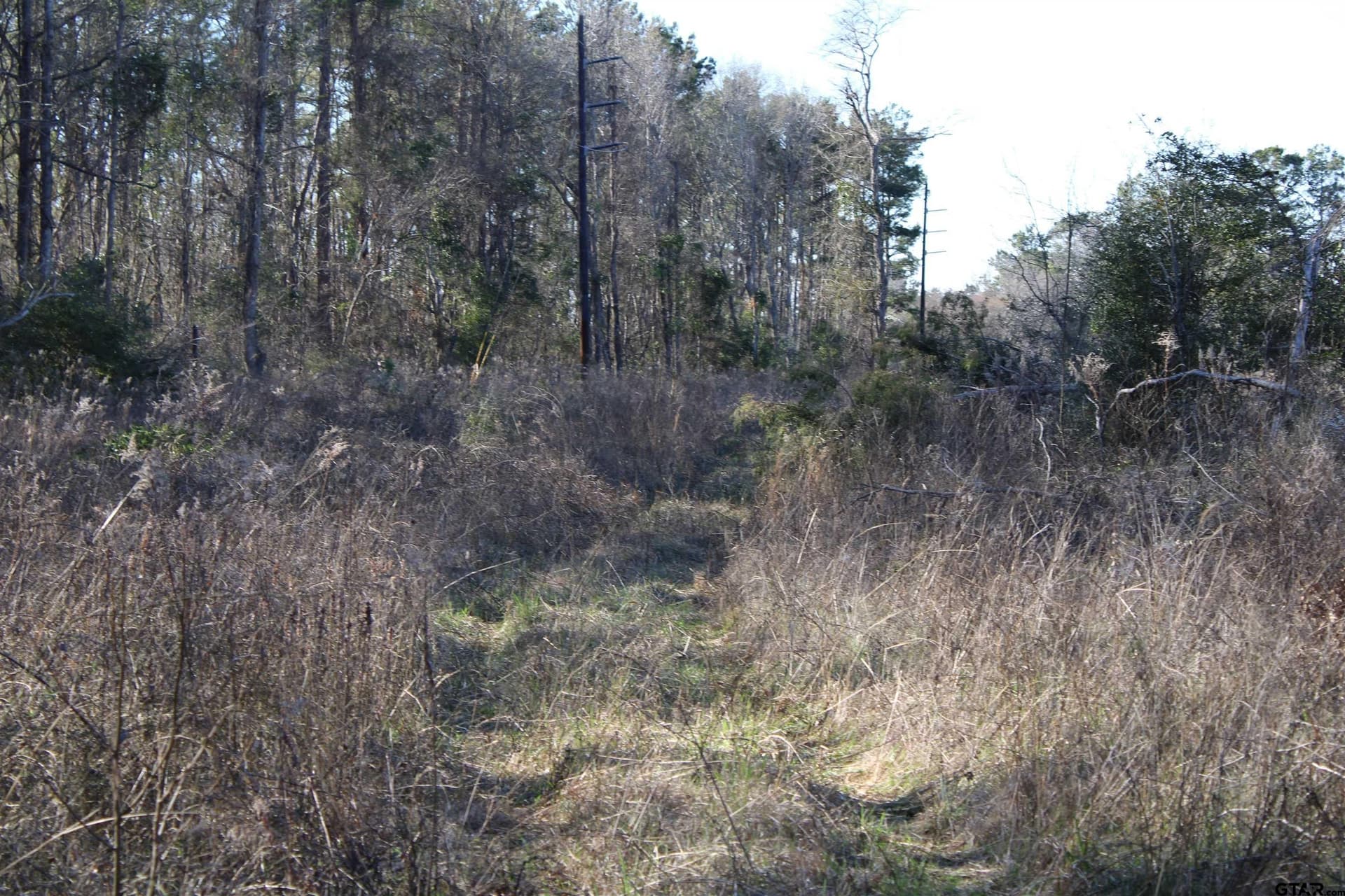21 acres in Cherokee County - photo 2