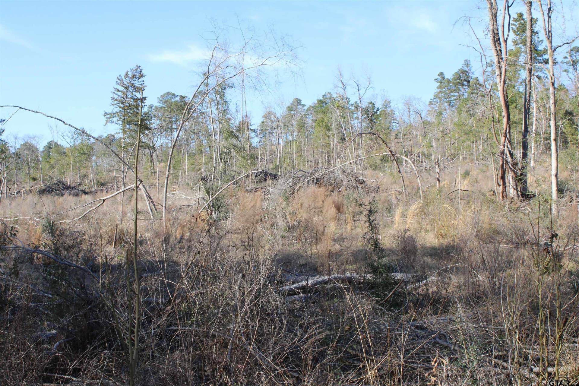 21 acres in Cherokee County - photo 8