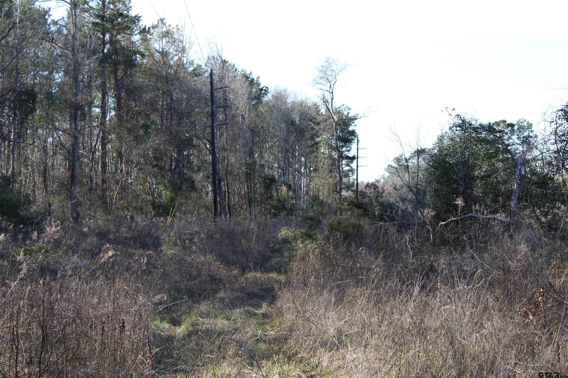 21 acres in Cherokee County - photo 7