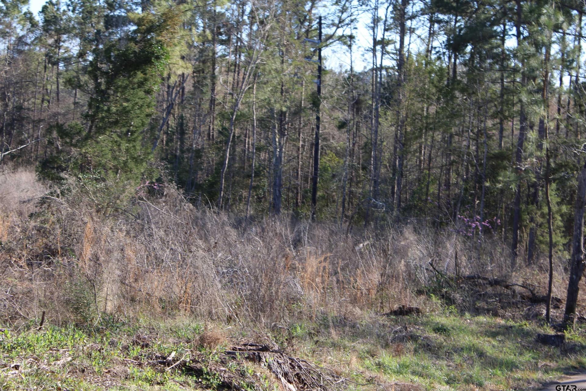 21 acres in Cherokee County - photo 4