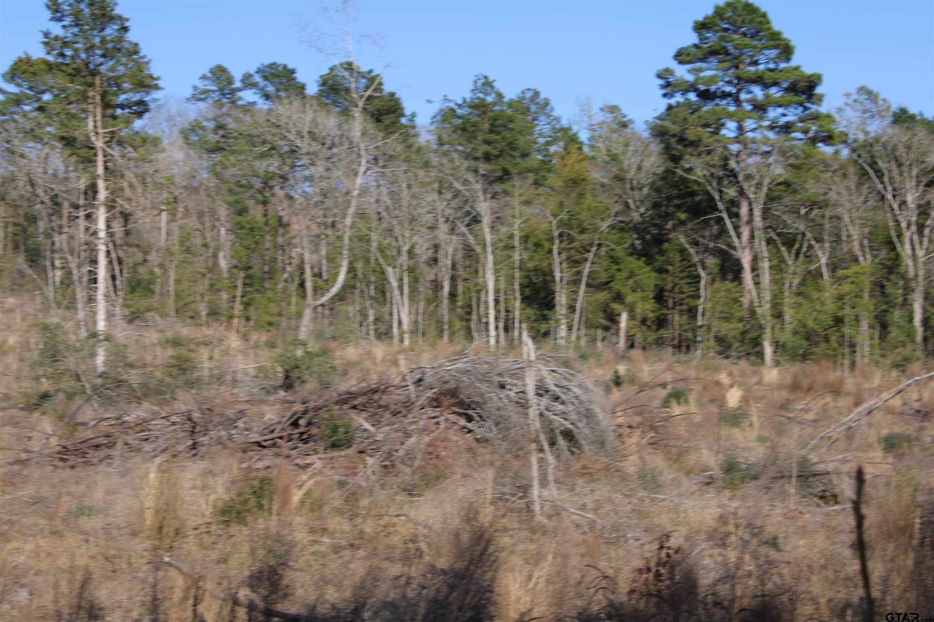 21 acres in Cherokee County - photo 6