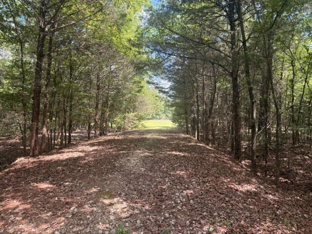 162 acres in Henderson County - photo 21