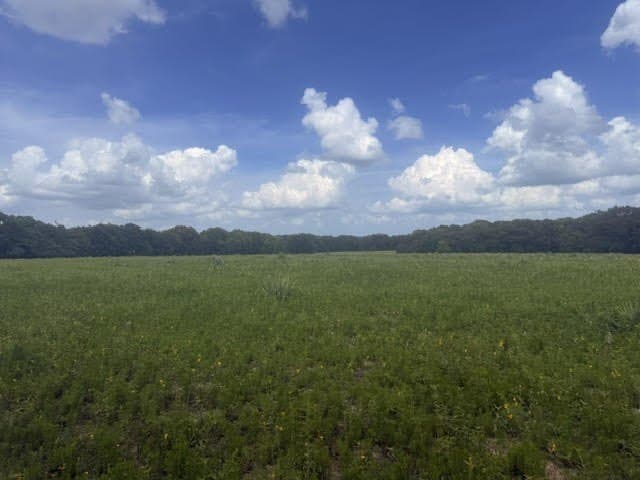 162 acres in Henderson County - photo 23