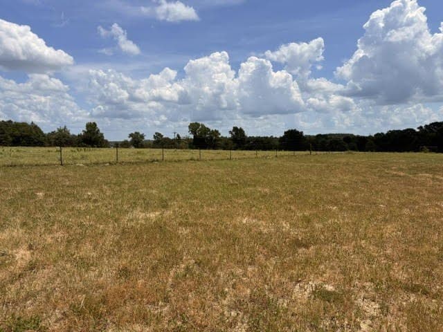 162 acres in Henderson County - photo 37