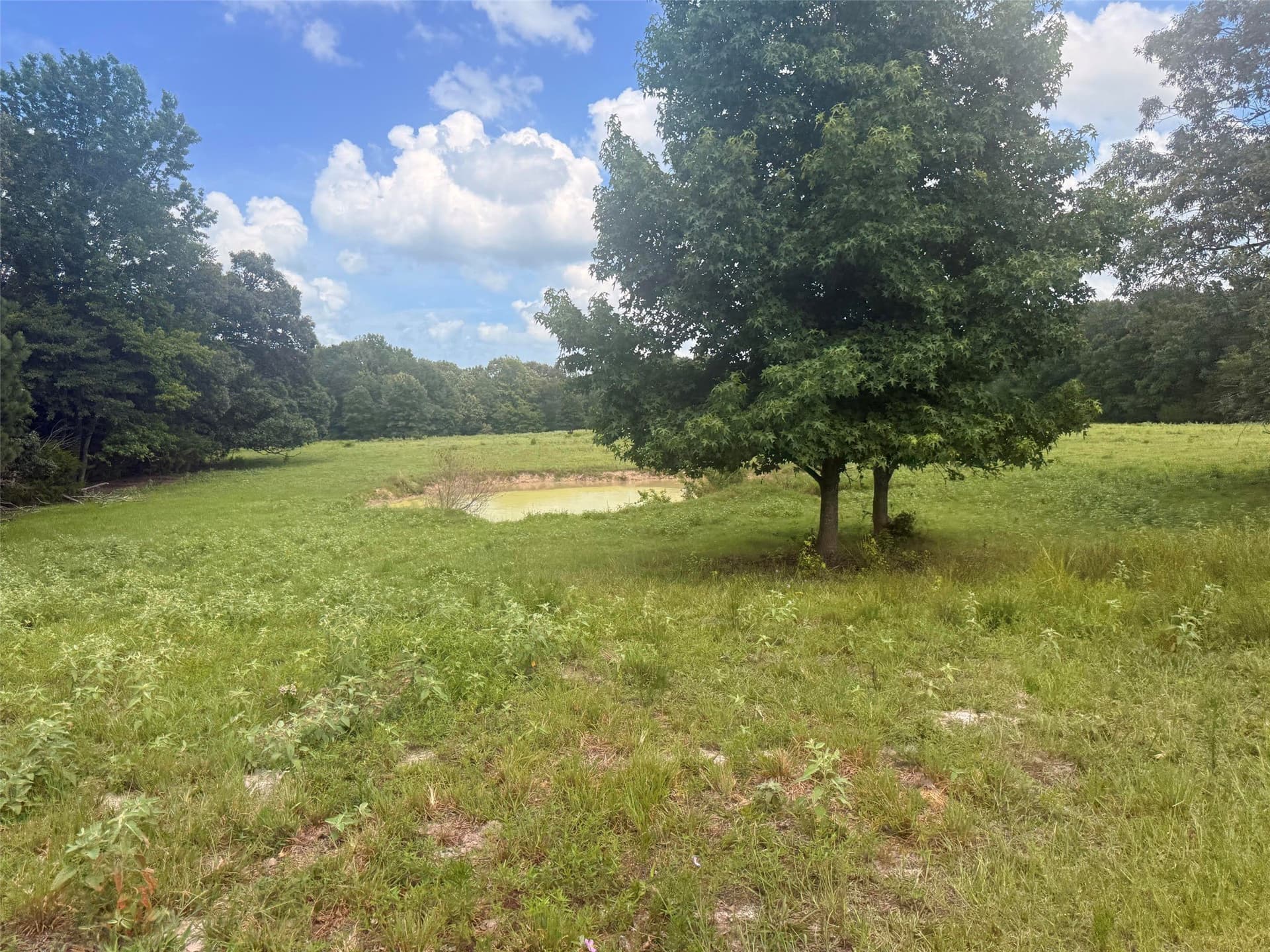 162 acres in Henderson County - photo 14