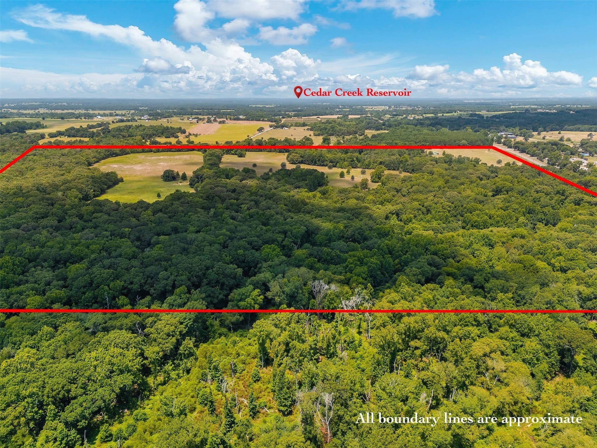 162 acres in Henderson County - photo 39