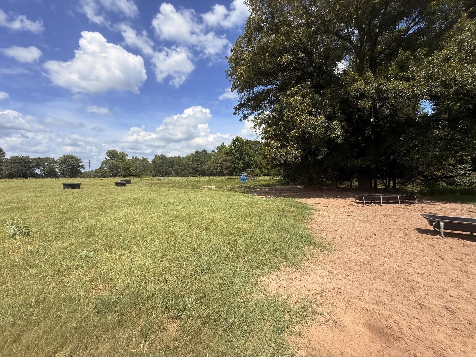 162 acres in Henderson County - photo 7