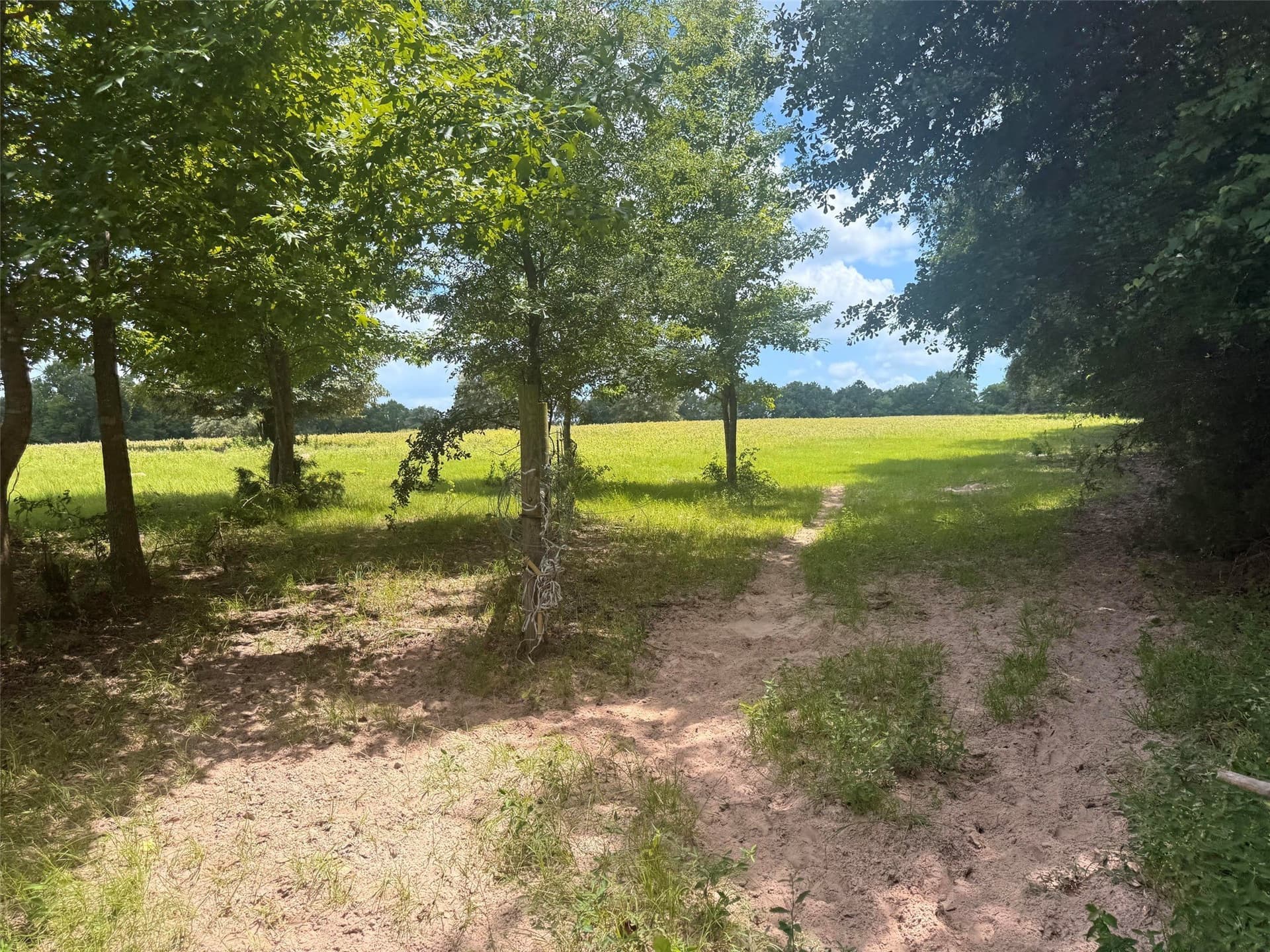 162 acres in Henderson County - photo 10