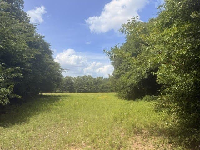 162 acres in Henderson County - photo 24