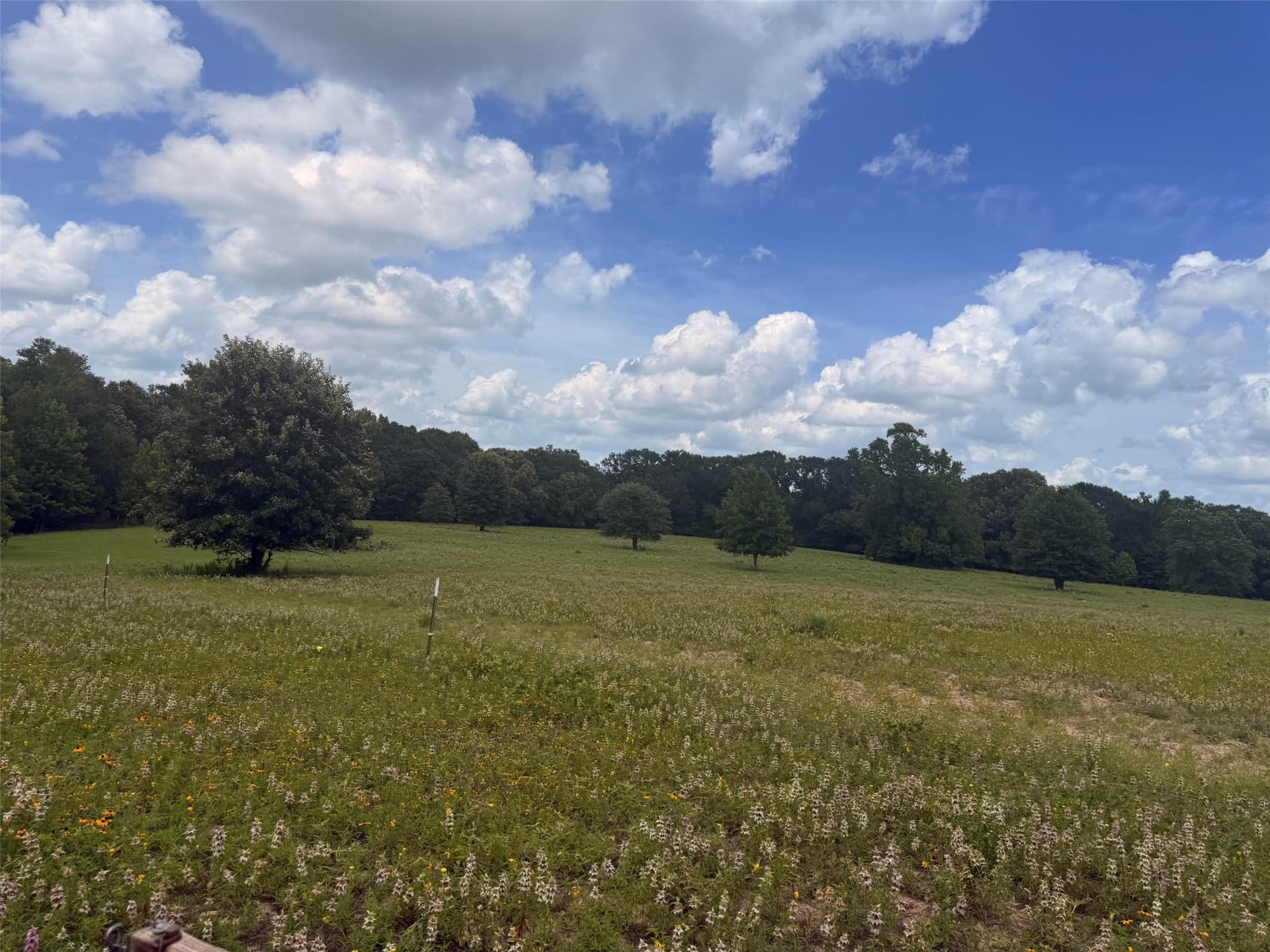 162 acres in Henderson County - photo 11