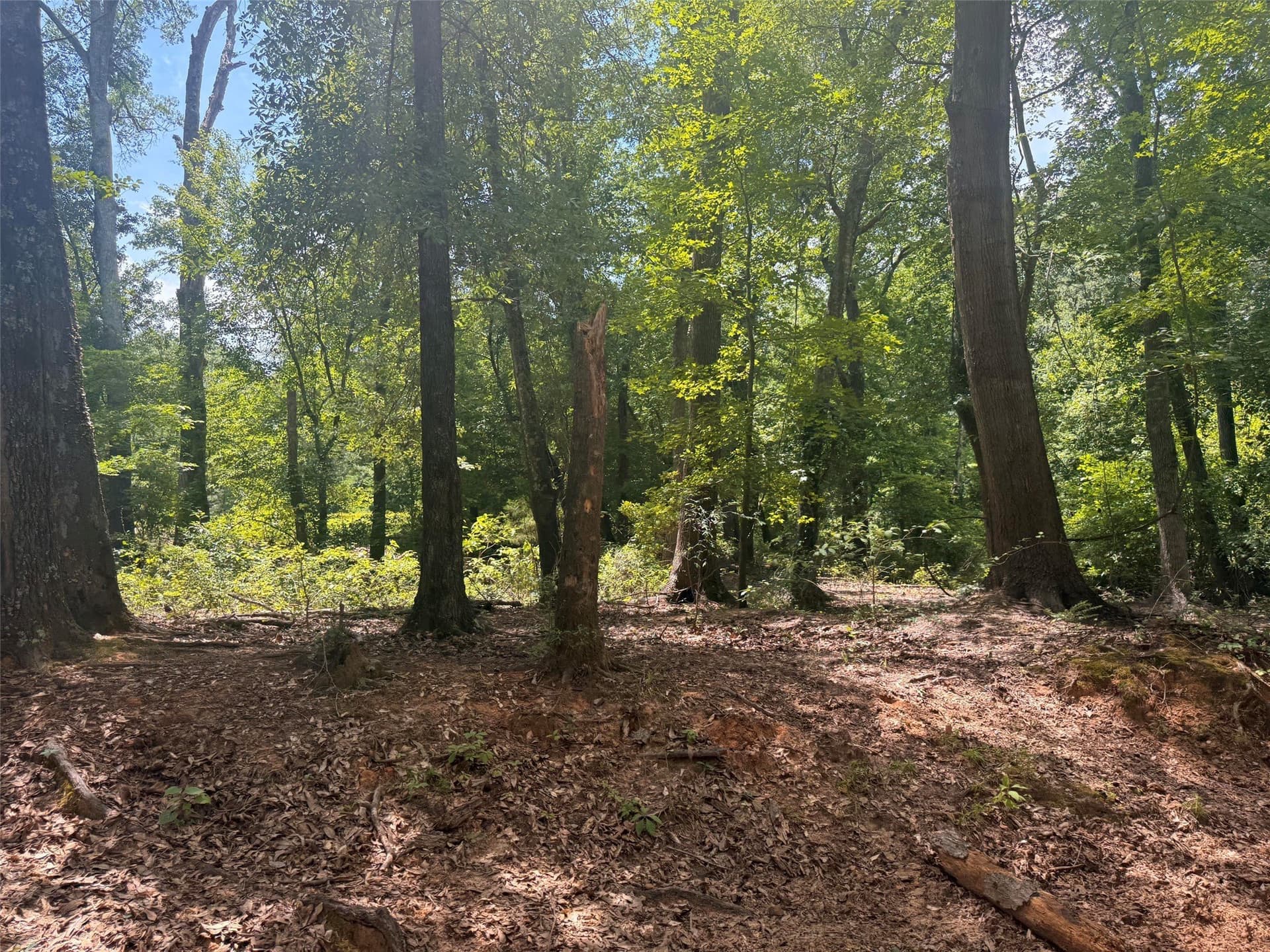 162 acres in Henderson County - photo 9