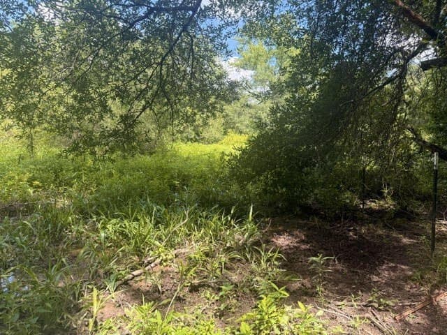 162 acres in Henderson County - photo 22