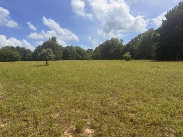 162 acres in Henderson County - photo 25