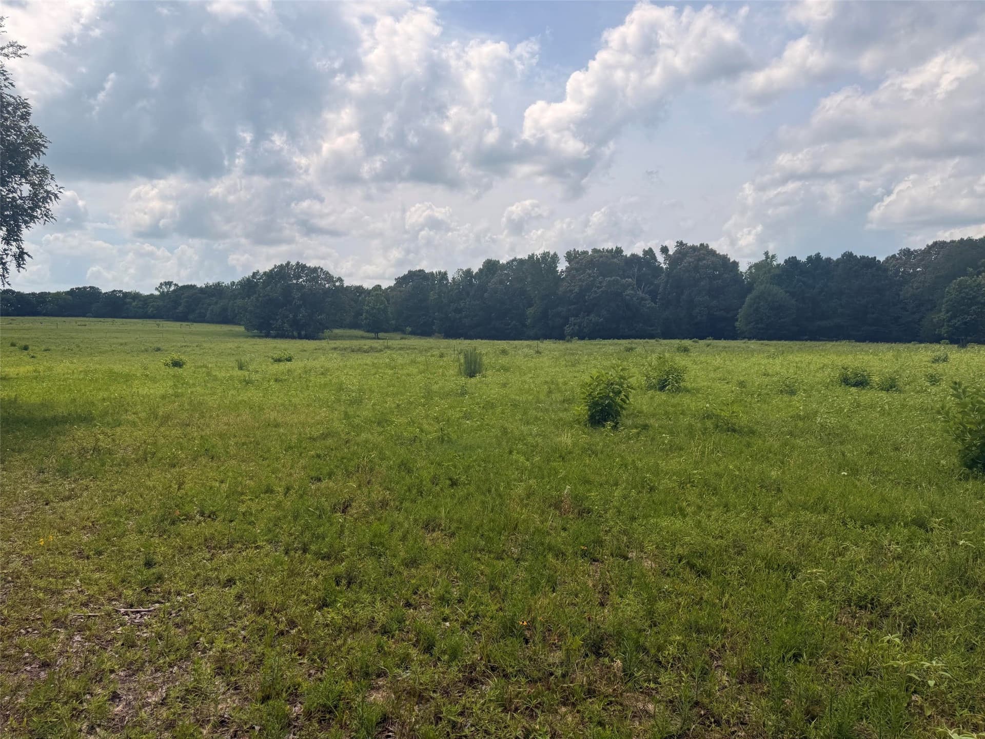 162 acres in Henderson County - photo 20