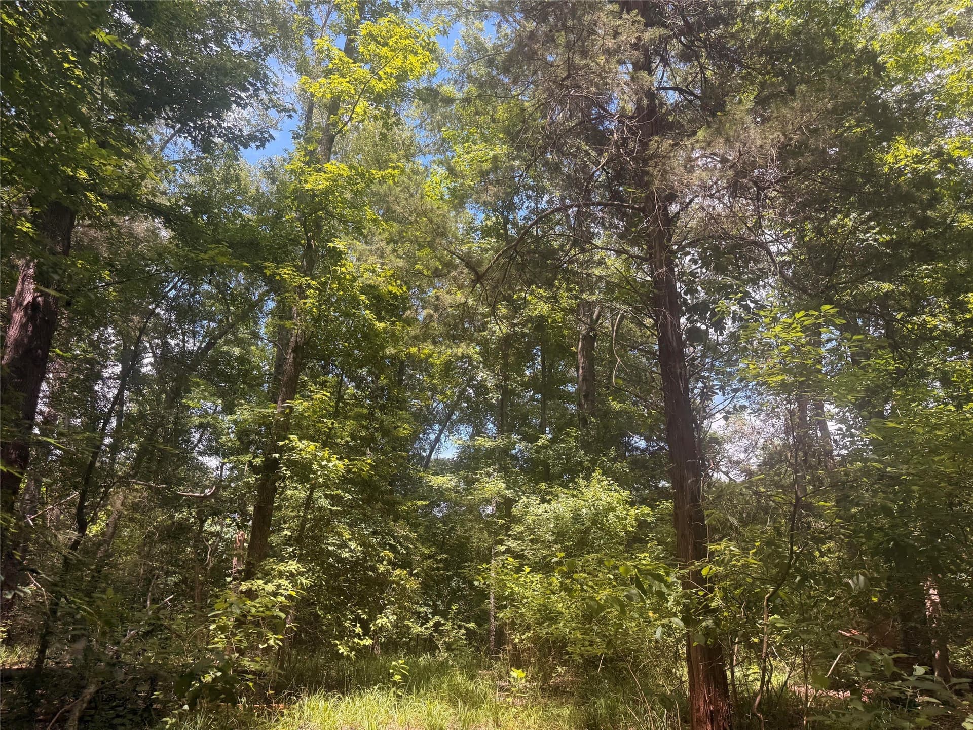 162 acres in Henderson County - photo 17