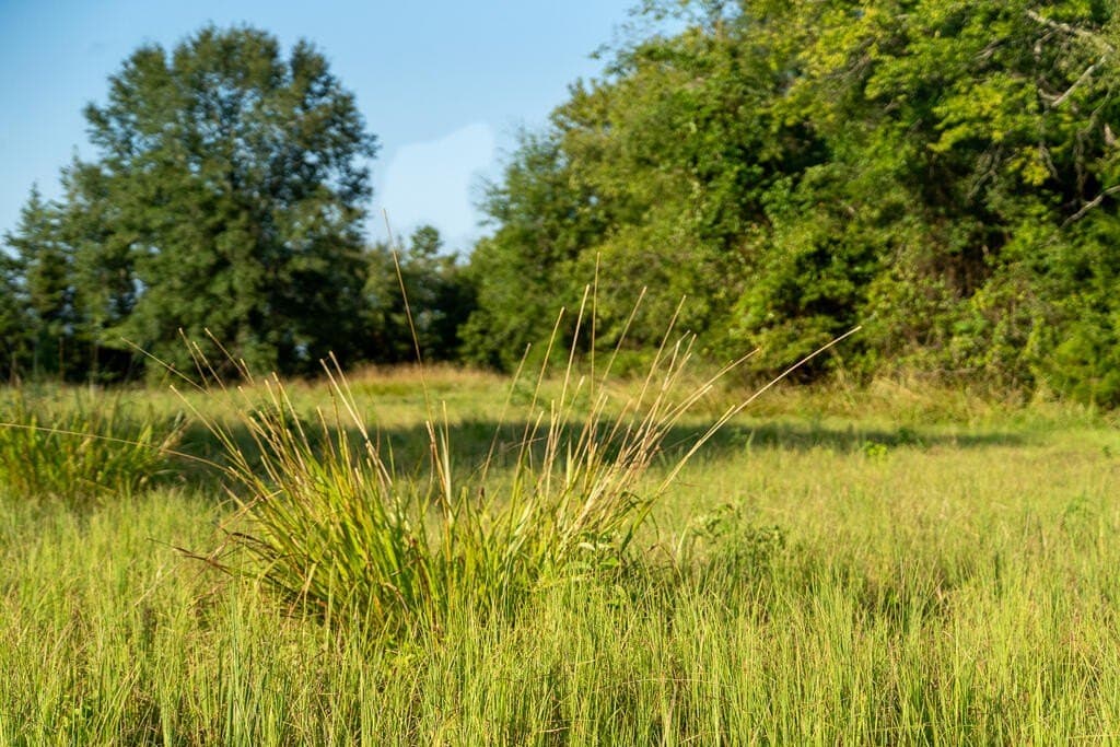 71.3 acres in Texas County - photo 2