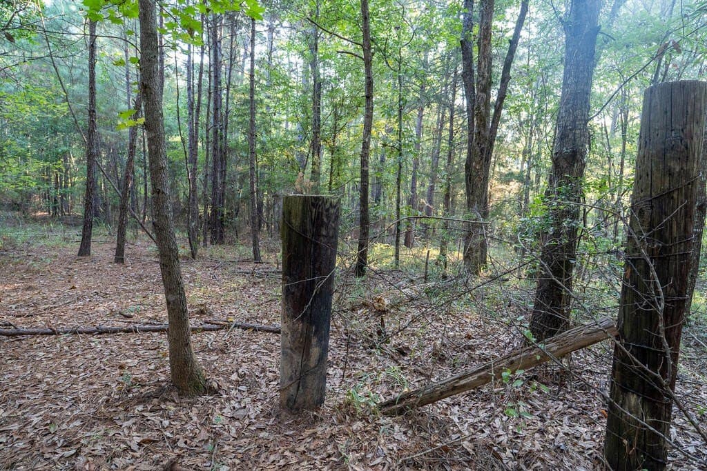 71.3 acres in Texas County - photo 61