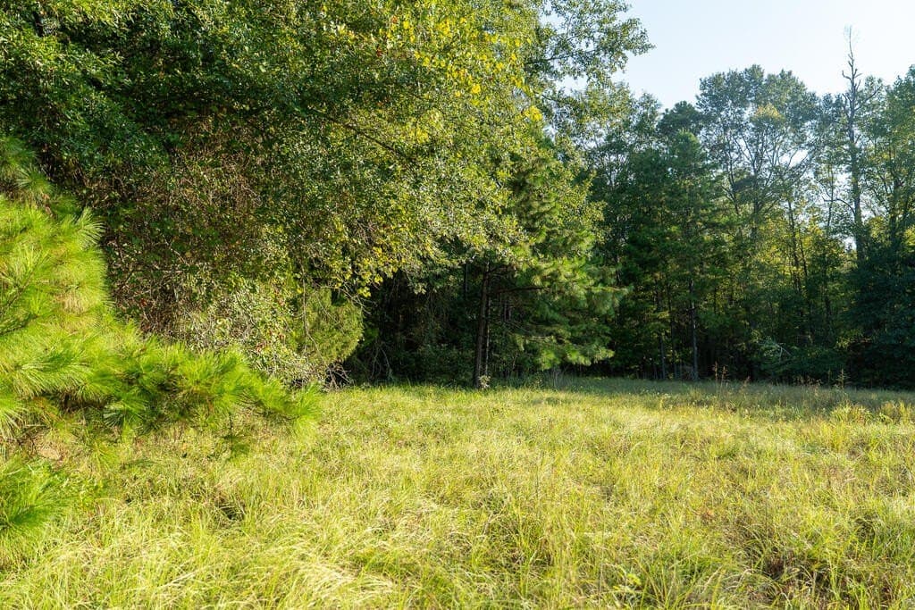 71.3 acres in Texas County - photo 49