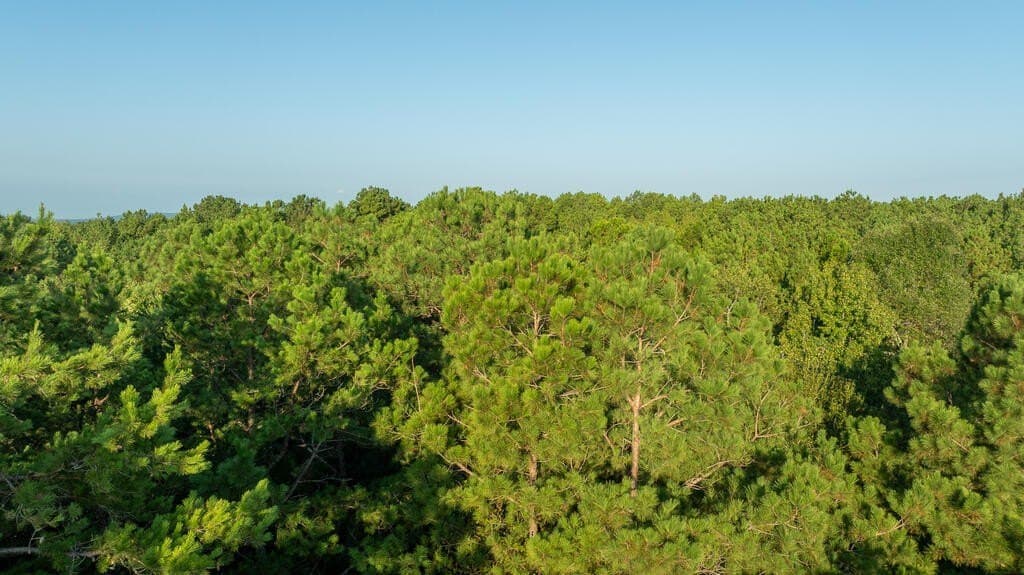 71.3 acres in Texas County - photo 30