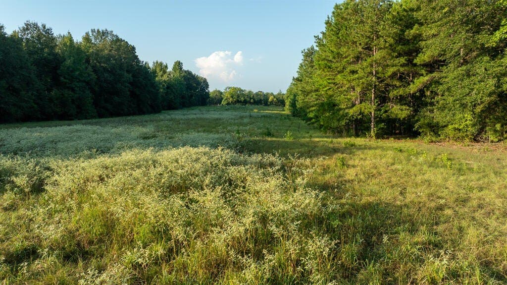 71.3 acres in Texas County - photo 36
