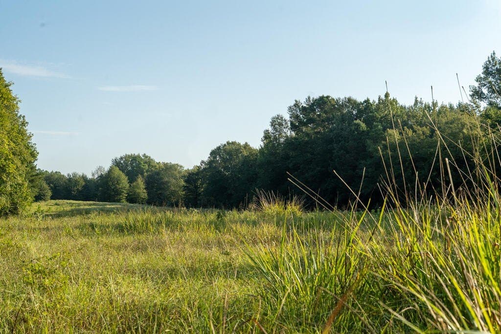 71.3 acres in Texas County - photo 9