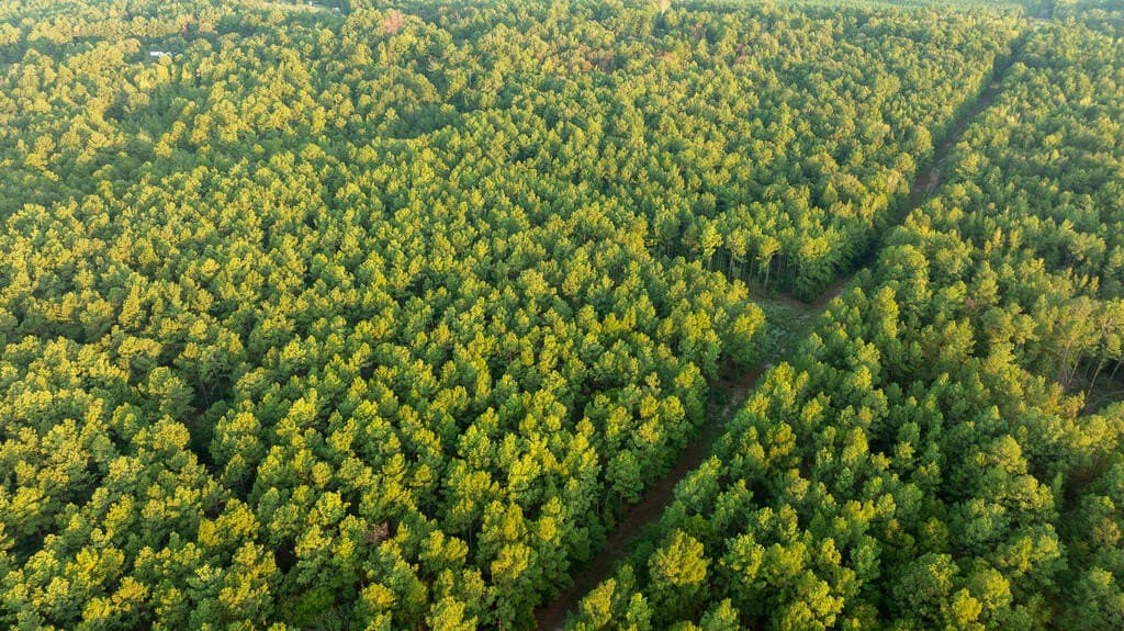 71.3 acres in Texas County - photo 17