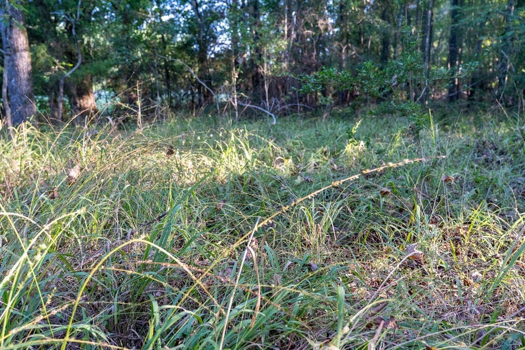 71.3 acres in Texas County - photo 57