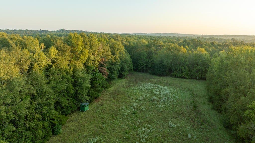 71.3 acres in Texas County - photo 15