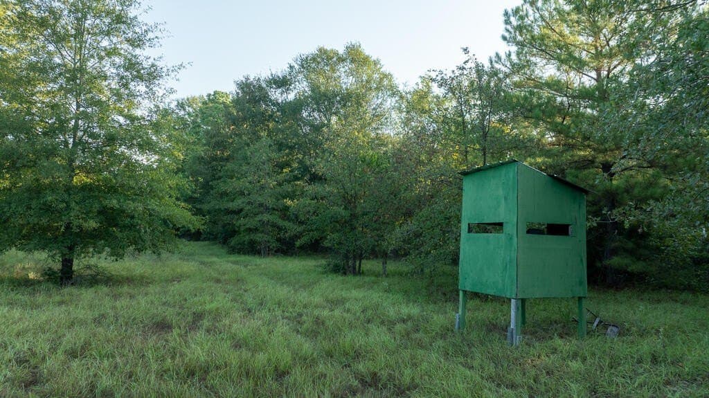 71.3 acres in Texas County - photo 32
