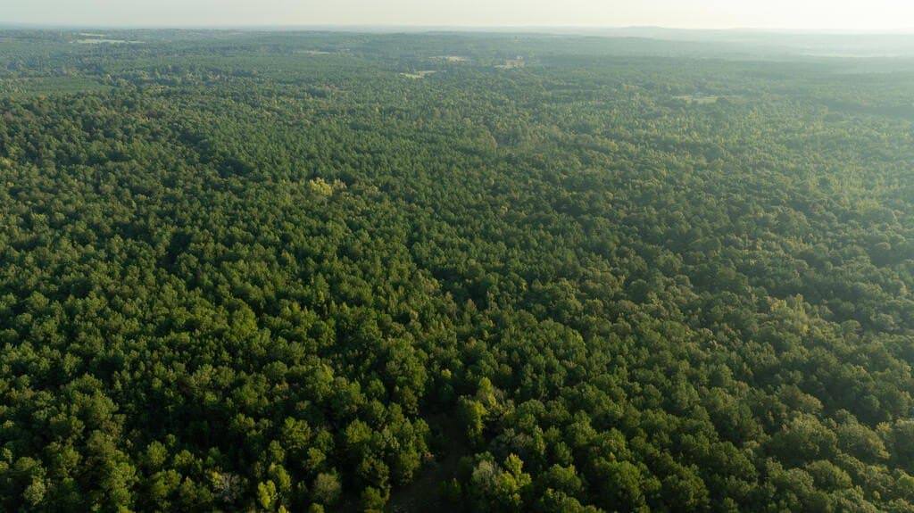 71.3 acres in Texas County - photo 23