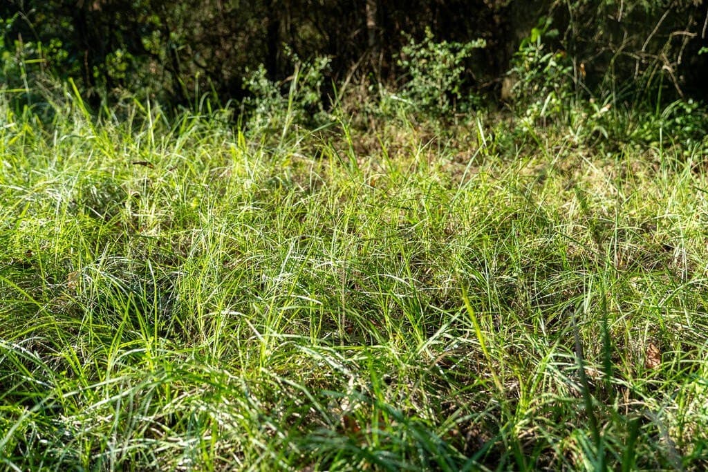 71.3 acres in Texas County - photo 46
