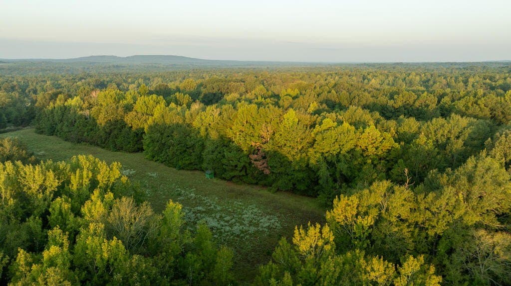 71.3 acres in Texas County - photo 16