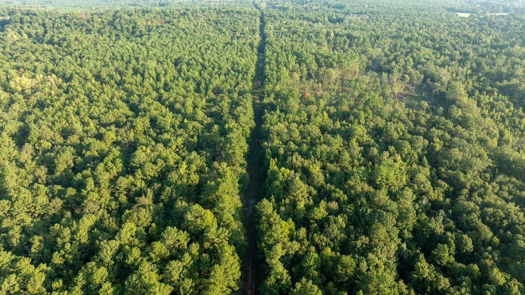 71.3 acres in Texas County - photo 25