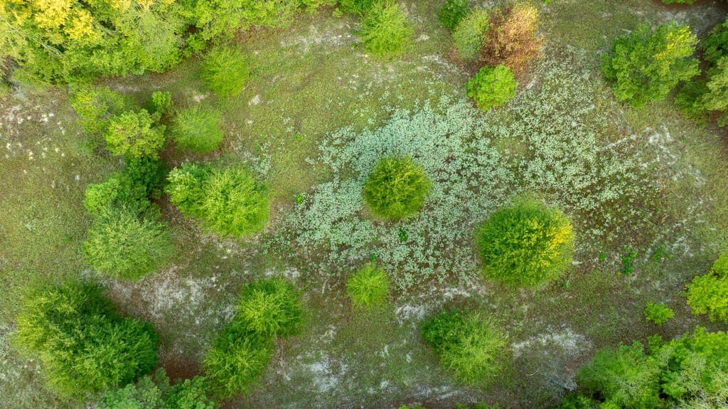 71.3 acres in Texas County - photo 21