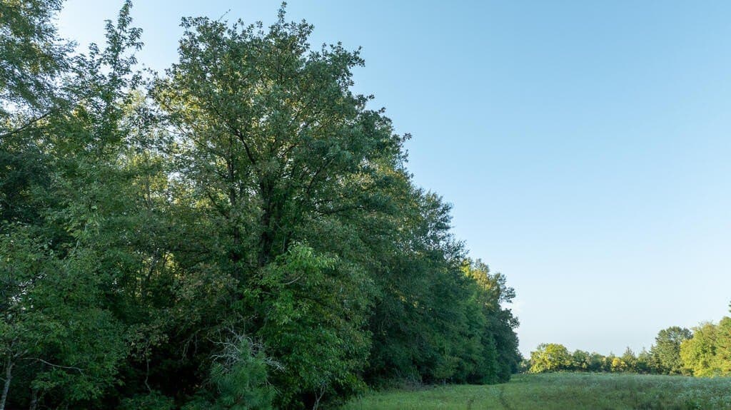 71.3 acres in Texas County - photo 33
