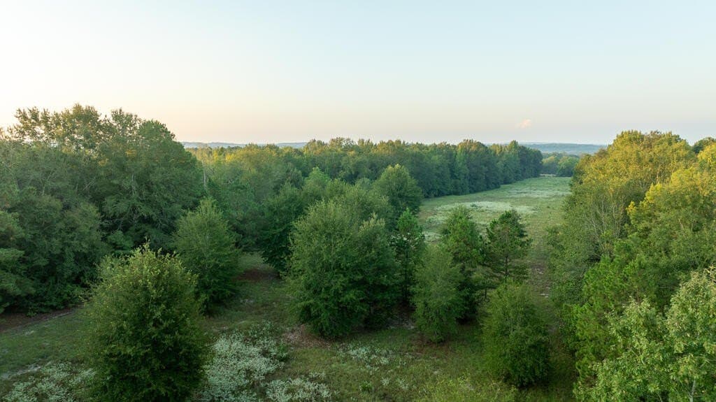 71.3 acres in Texas County - photo 10